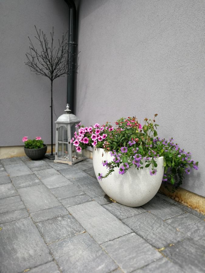 Zsinko Villa Pecs Ngoại thất bức ảnh